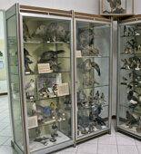 Sala uccelli