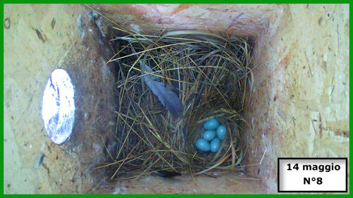 026-19-04-14-05-n°8.jpeg