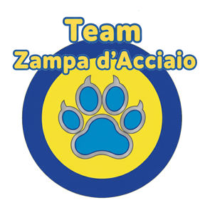logo_team_zampa_d_acciaio_con_testo_due_linee_giallo_contorno_blu_1024x1024