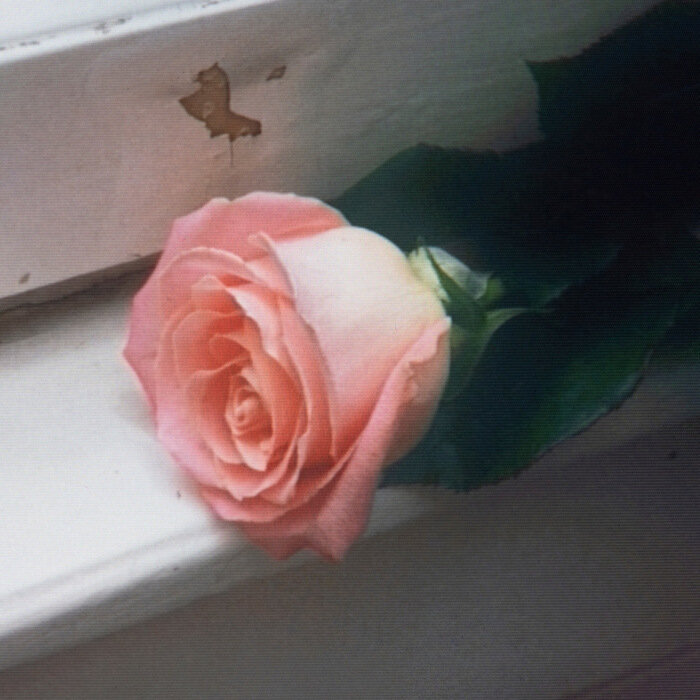 Musica: Planet Funk, arriva Bloom