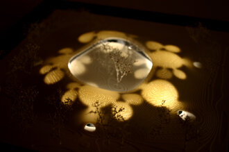 410de6bcd4ced1b5ab1b6637012938305f6b7b5c