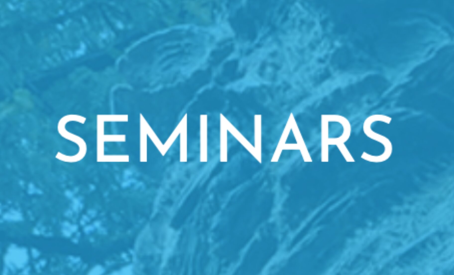 Columbia University Seminar on Brazil by Emily Pierini: “Trance-formative therapeutic experiences in the Vale do Amanhecer” 