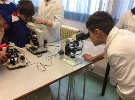 32f8af45-98a1-4a47-b533-c0eb563c279e