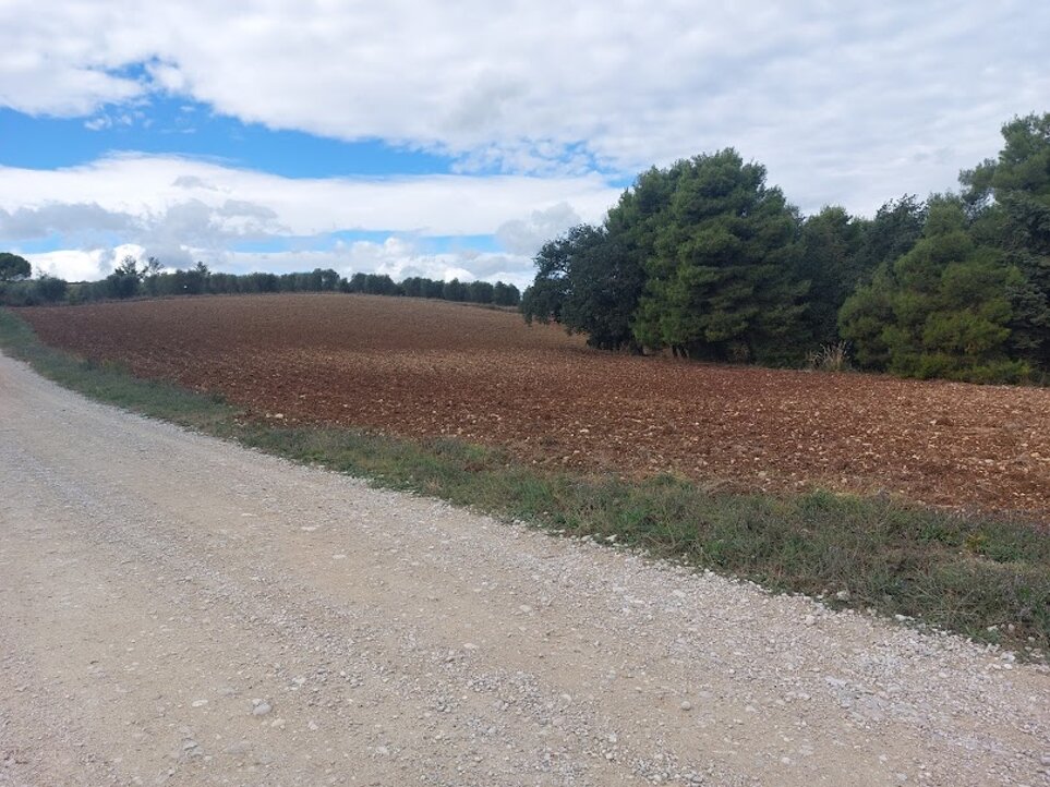 panorama- ripatransone.jpeg