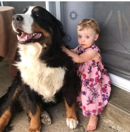 4399186b-4728-4035-986b-4a4b1cbd026f 4399186b-4728-4035-986b-4a4b1cbd026f