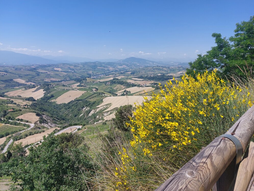 panorama -ripa -1.jpeg panorama -ripa -1.jpeg