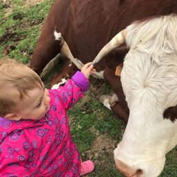 9703c1a0-bc79-4aed-a16e-5c4888c97590 9703c1a0-bc79-4aed-a16e-5c4888c97590