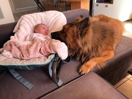 abe3a9eb-fa94-43b9-b6fa-f5aad0a99265 abe3a9eb-fa94-43b9-b6fa-f5aad0a99265