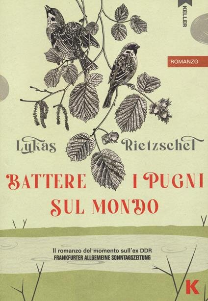 Battere i pugni sul mondo - Lukas Rietzschel