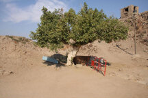 3d37d20cb03ebf47c345a841ca74b35a5a7045dd 3d37d20cb03ebf47c345a841ca74b35a5a7045dd