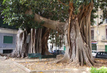 45e63dd071f14e90ffe4e8012262aab214e052e2 45e63dd071f14e90ffe4e8012262aab214e052e2