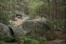 53a9bd5b87310264635db9a3eab0caa06d9077ba 53a9bd5b87310264635db9a3eab0caa06d9077ba