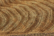 ee9ba03ca0a4593c561cf585bf544e729b12d6b0 ee9ba03ca0a4593c561cf585bf544e729b12d6b0