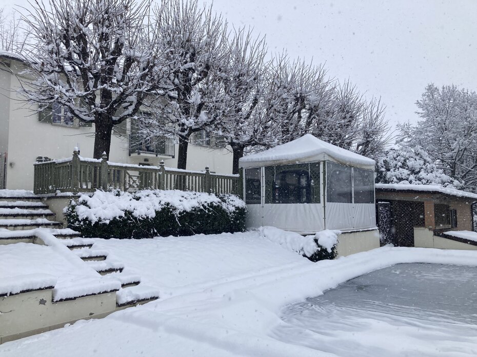 img_3546.jpeg img_3546.jpeg