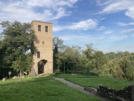 img_2150.jpeg