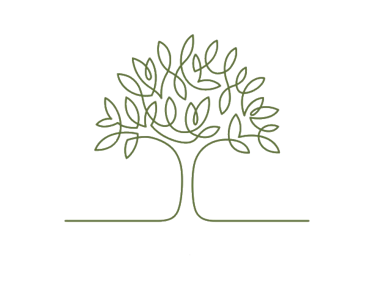 ulivo 1 senza scritta