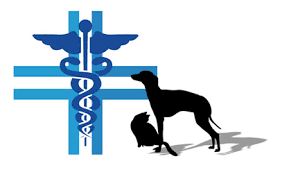 3bf3a1e090a27b415f1d6717ced02e11009c6caa