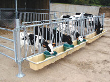 3c2d38d5a9fb416db6ac35c1d637abfa1305476a