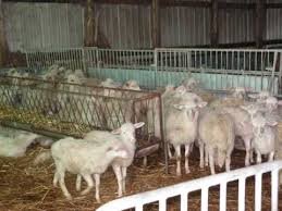 5d01cee497f515dfc1fb2ee76a0a7e886cf0c4bb