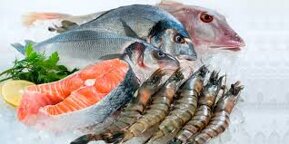 81d6e0f9f42018efffb050d3db42bd9a26a53462