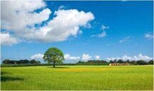 922f9ff04930d740ba2cb5f771765ab1b3799857