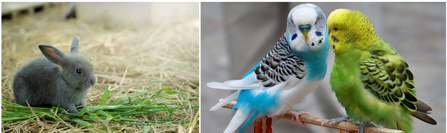 b46c8d1f67b04987ba8aa094c7f19e94becb18b8