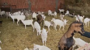 b60f62873af8220f89bbe51f5f3b5c2979b4fb47