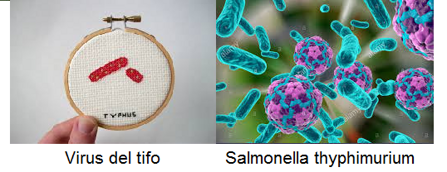 c8aa0cf1d2f1ecb3d42db9971199d81354984dbf