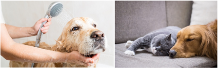 fe56ee931c6154242a3c46840c91cf2c01ecfca8