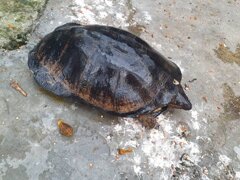 img-20210105-wa0026.jpeg img-20210105-wa0026.jpeg