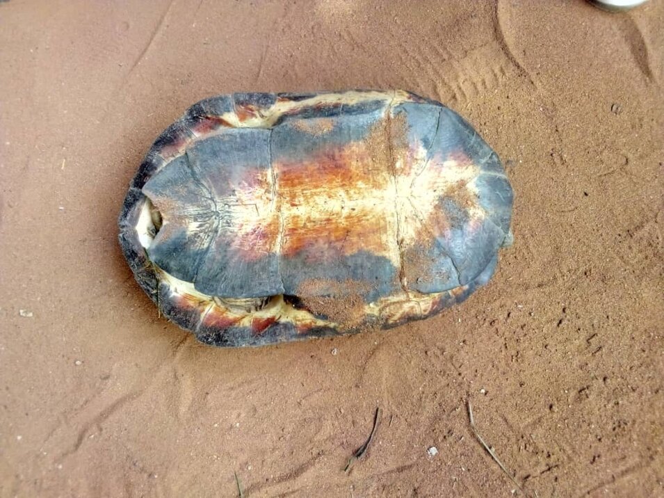 img-20210107-wa0015.jpeg img-20210107-wa0015.jpeg