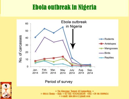 809493265887abcb18d3b3f710720286c5484519 809493265887abcb18d3b3f710720286c5484519