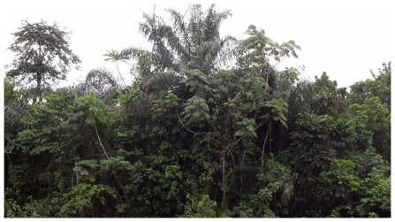 8923e6a96884ba5b5bfdbe7de3aa16b76dc2b66c 8923e6a96884ba5b5bfdbe7de3aa16b76dc2b66c