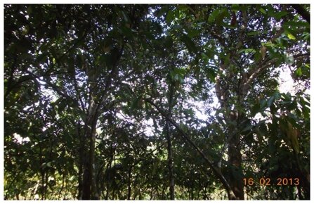 8974f0f73ceee0f0531b8084892faed363f01fc7 8974f0f73ceee0f0531b8084892faed363f01fc7