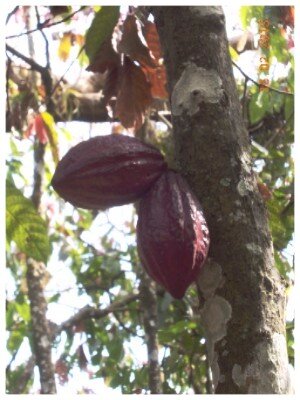 9faac433c8a0fe1b2f0b98fdcafb53fce7336478 9faac433c8a0fe1b2f0b98fdcafb53fce7336478