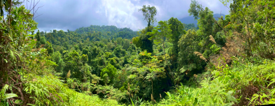 habitat vietnam.jpeg habitat vietnam.jpeg
