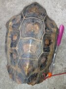 img-20210128-wa0011.jpeg img-20210128-wa0011.jpeg