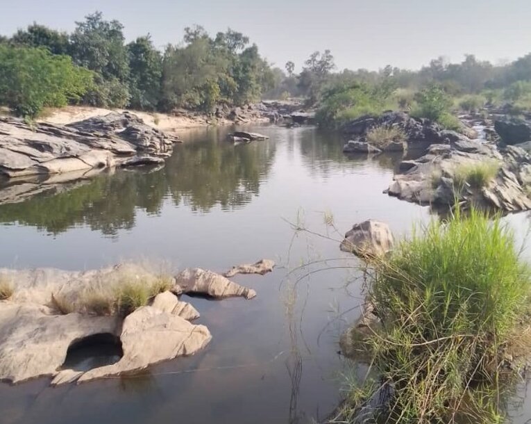 20231114_2830_habitat synodontis macrophthalmus (002).jpeg