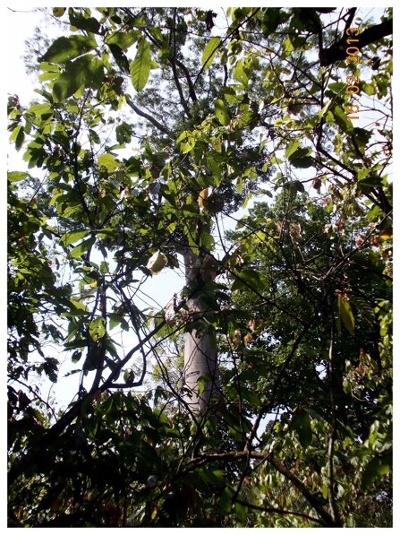 e976587a8d9a57f681c5815acb5109b16a7db588 e976587a8d9a57f681c5815acb5109b16a7db588