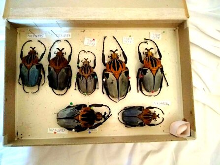 ee738b3df640b915719383ba9e0f0486e38349be