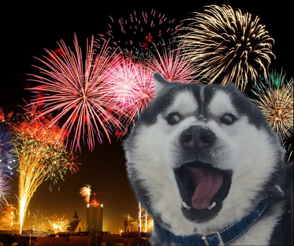 I CANI ED I BOTTI DI CAPODANNO: Come comportarsi?