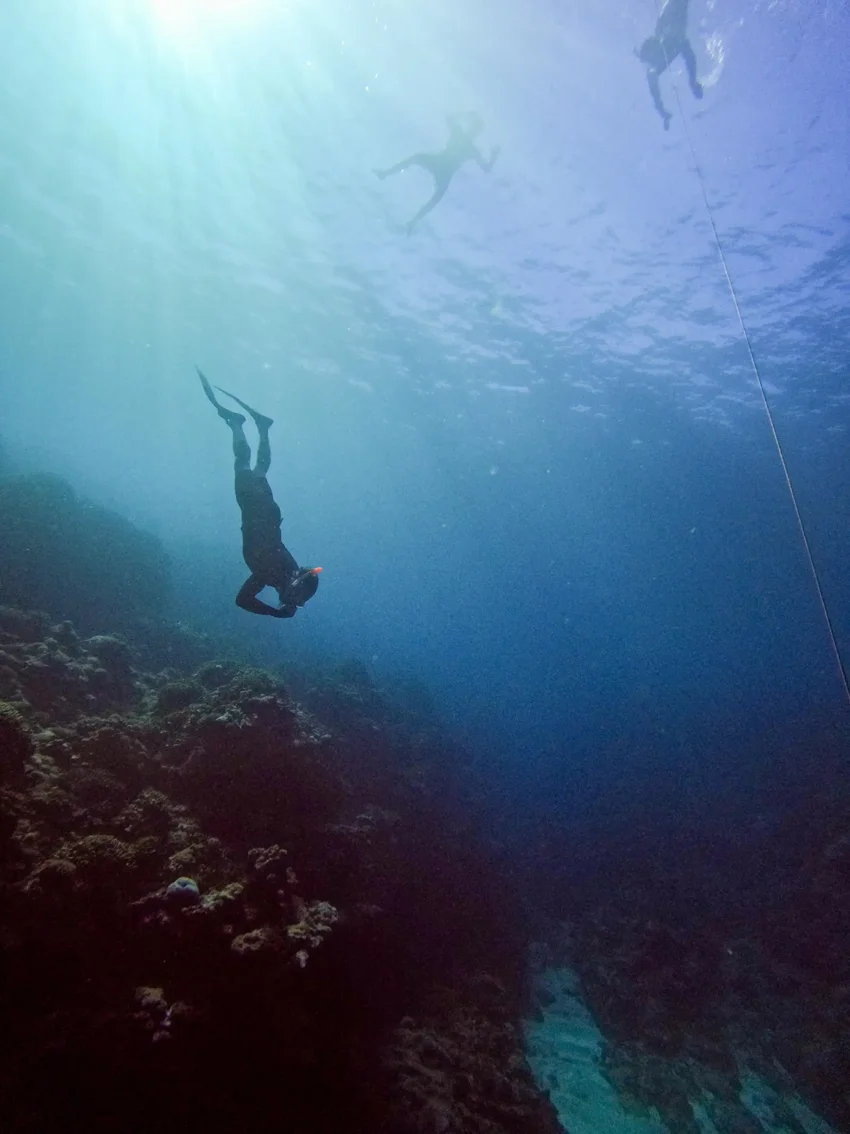 034dfd928838a9f3bde557f01068c6bf3d0fea87