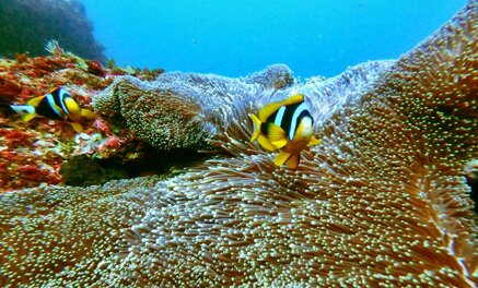 07984f0755cadb1e1156481fee26454d6c23c84a 07984f0755cadb1e1156481fee26454d6c23c84a