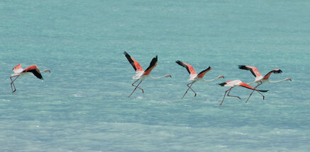 08506efb8f990e3cb7afdf9960eca84843125712 08506efb8f990e3cb7afdf9960eca84843125712