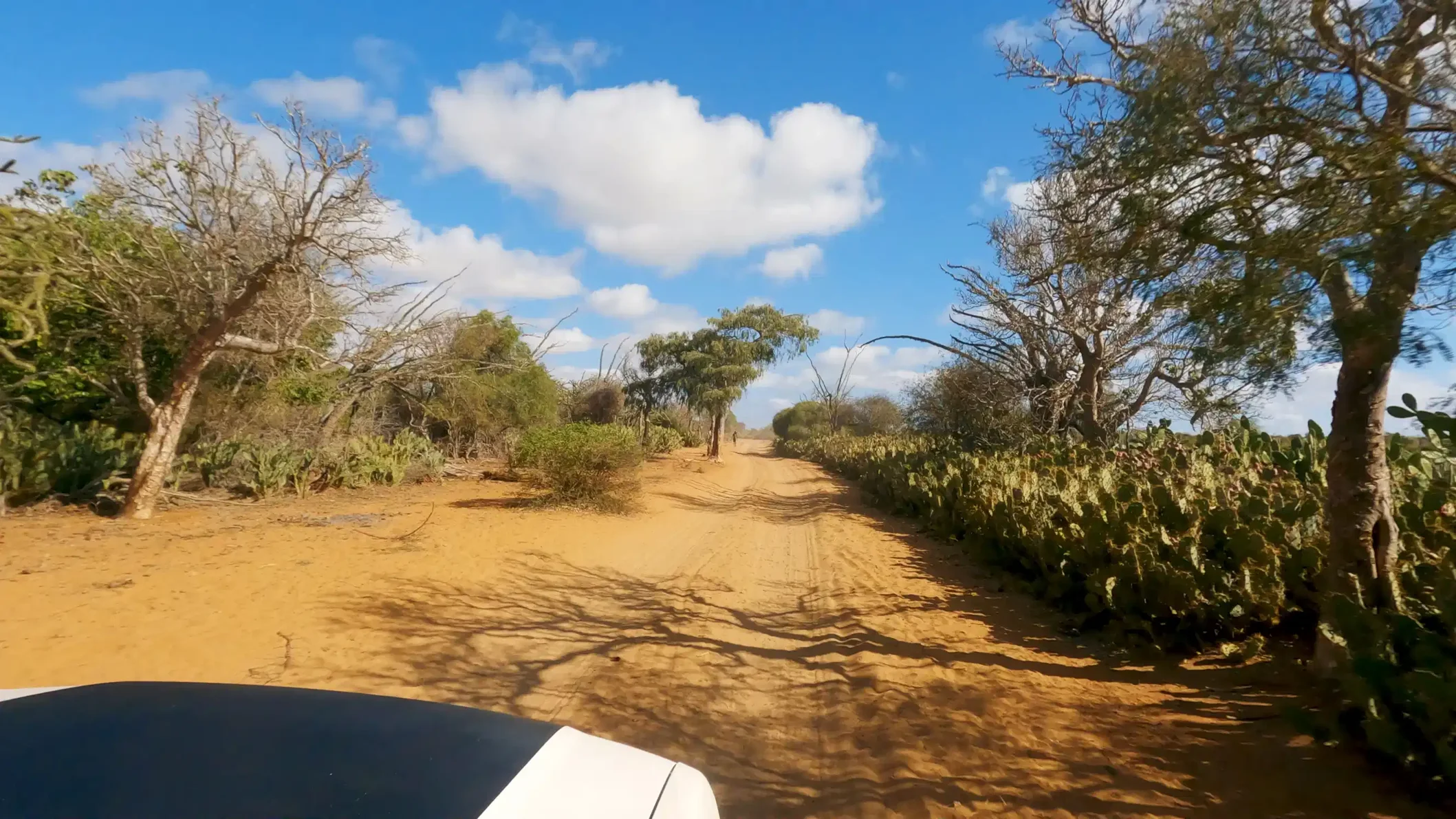 cdd22f69760388c28361a7dc6bcd38f74b7685b5