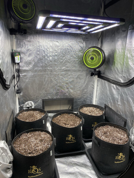 Migliori soluzioni per Grow Room