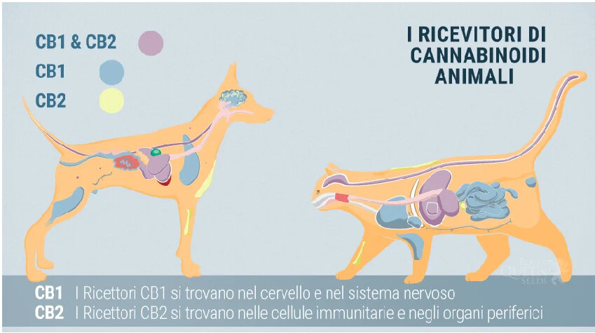 5a9615dd-de04-4aae-8391-531a9a35915d.jpg 5a9615dd-de04-4aae-8391-531a9a35915d.jpg