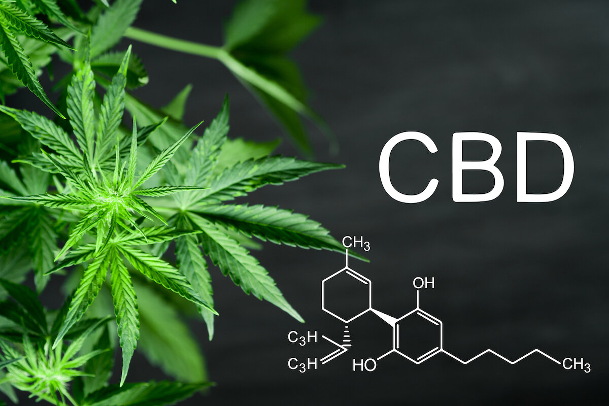 CBD : storia, studi, proprietà terapeutiche e patologie che ne beneficiano CBD : storia, studi, proprietà terapeutiche e patologie che ne beneficiano