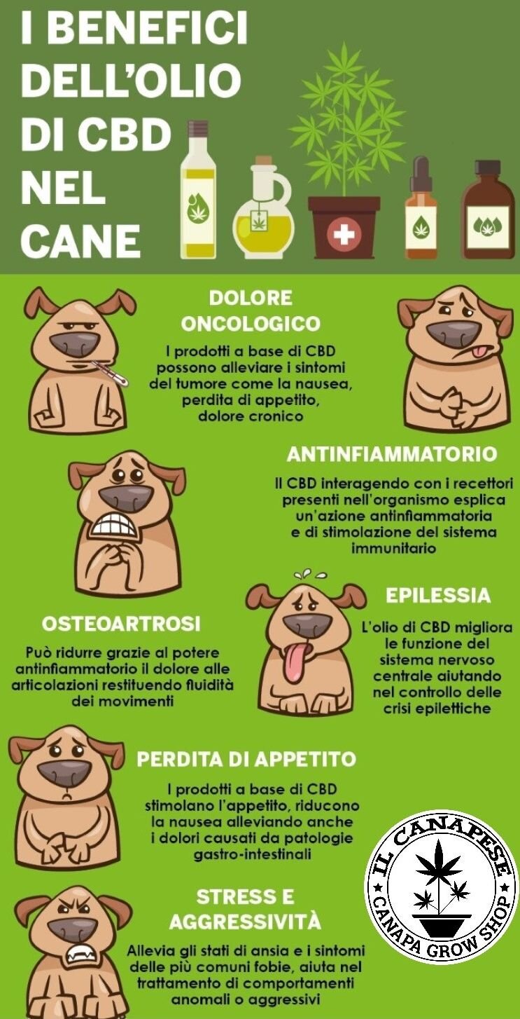 69525eeb-5738-495d-bd9e-cb93a91fe678.jpg 69525eeb-5738-495d-bd9e-cb93a91fe678.jpg