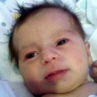 b5c0280e-afbd-4a8a-b4ce-9e90372dc17e